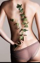 Model BodySigrid2