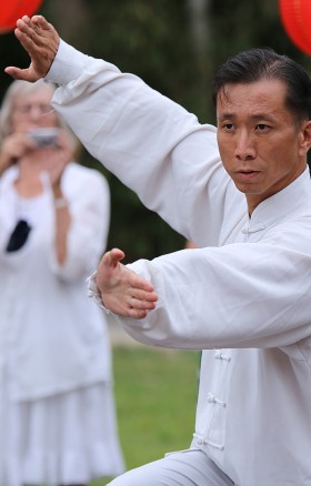 Modelkartei Frauen Frankfurt WingPNL Bild: 5